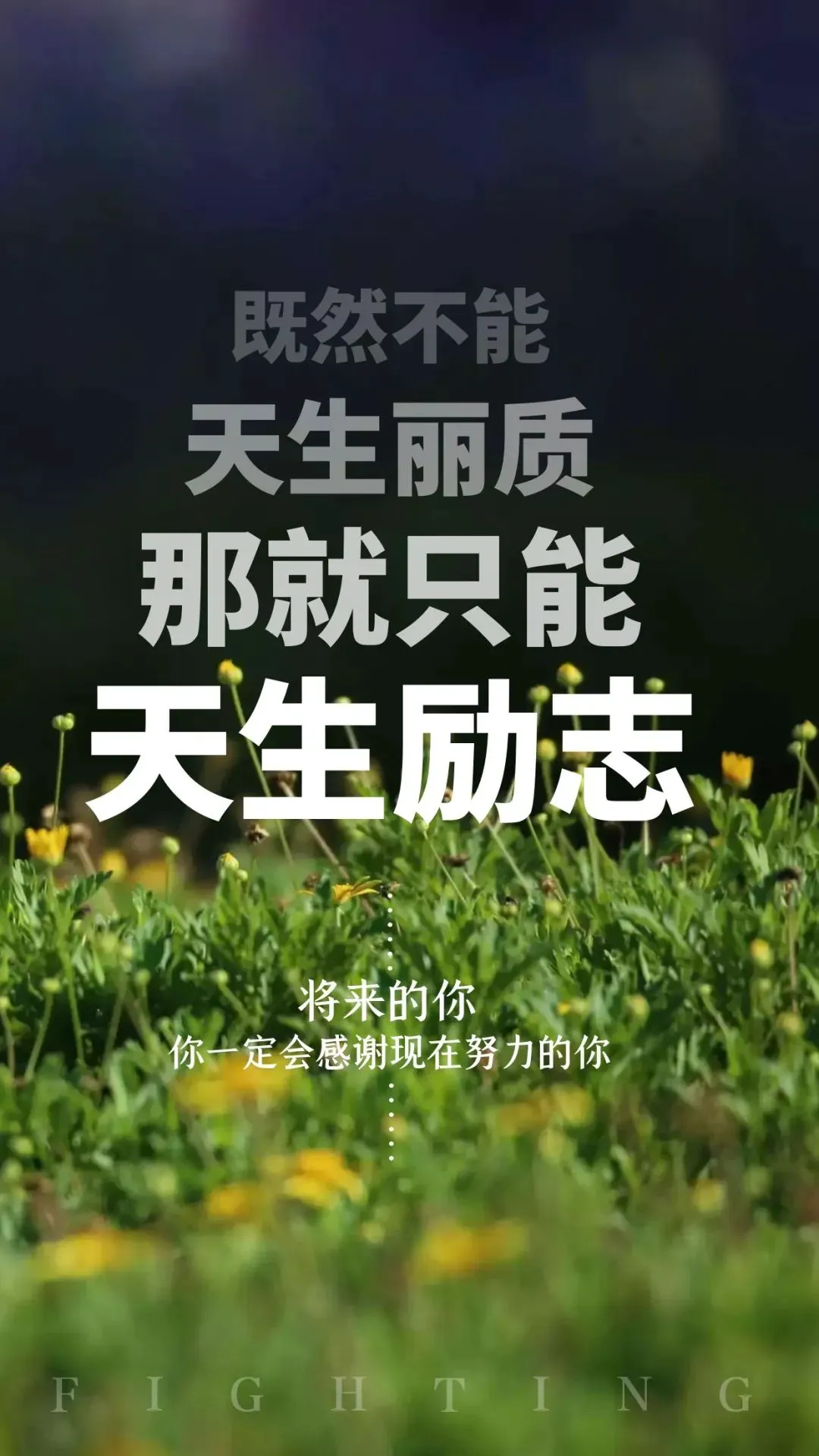 业余篮球选手如何通过试训提升技能_1